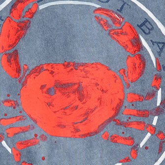 Vintage-wash cotton crab graphic T-shirt SHADOW MAINE CRAB GRAPH