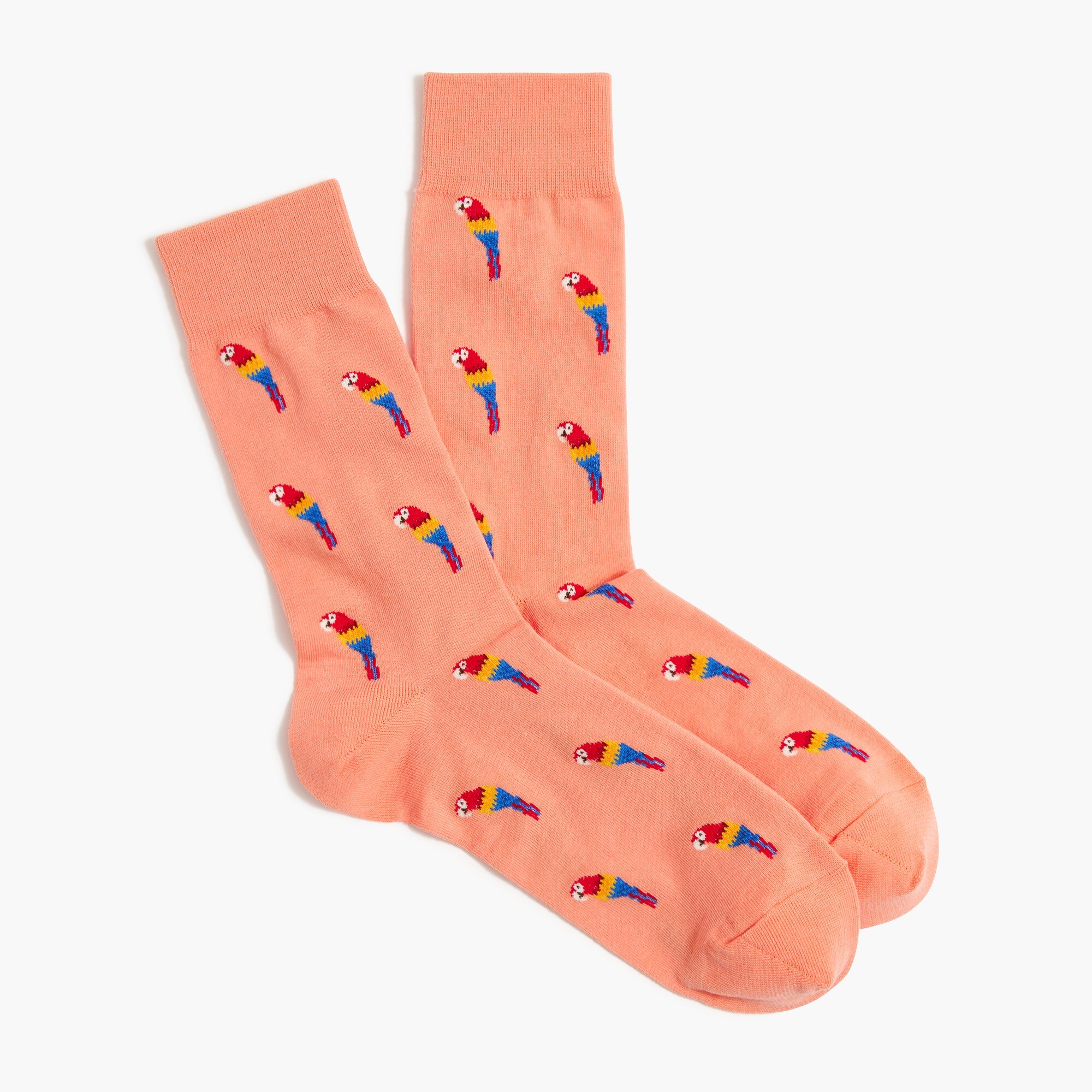  Parrot socks